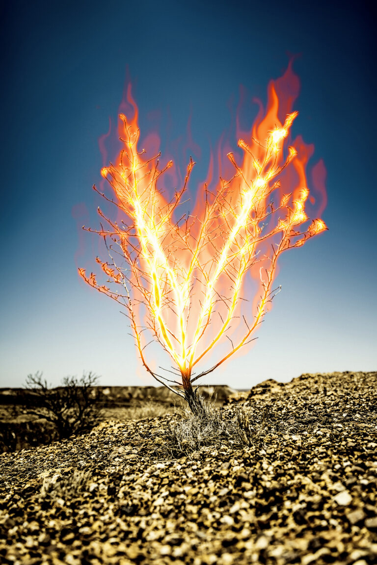 Ignoring the burning bush