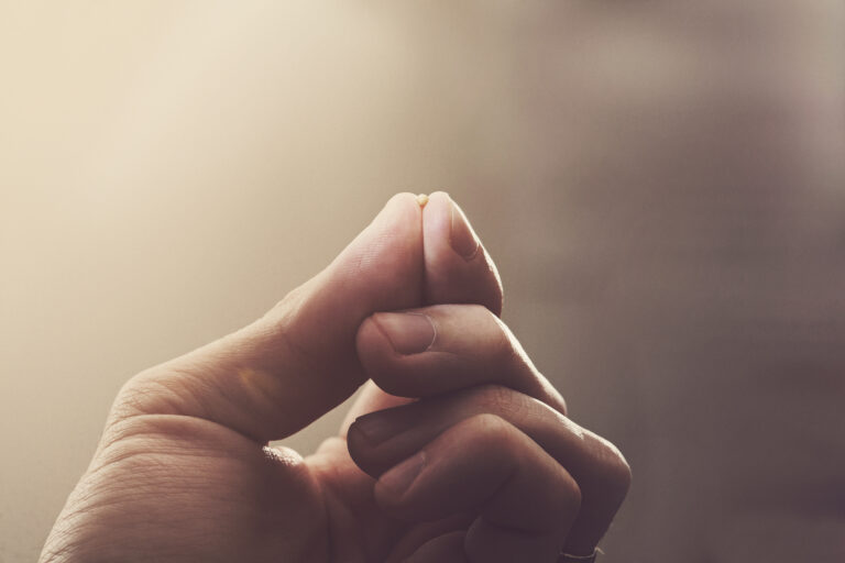 Faith the Size of a Mustard Seed