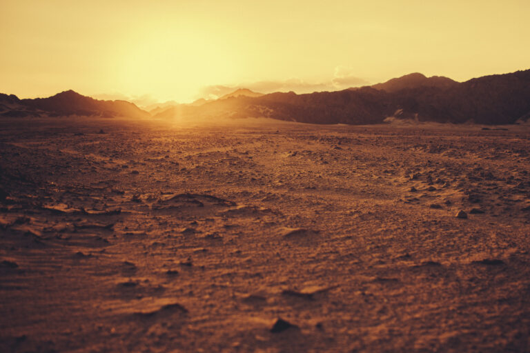 Remembering the desert in times of abundance