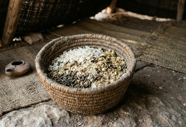 Hoarding Our Manna & Quail